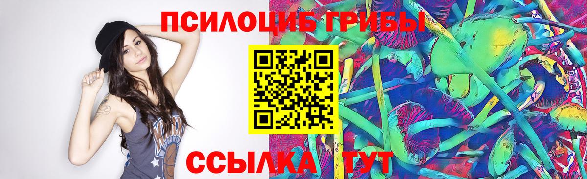 Электросталь  Псилоцибиновые грибы Psilocybe  купить закладку  Вход с VPN 